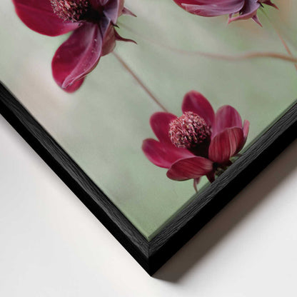 Cosmos sway Canvas Print Wall Art 1X48346 - ART FEVER - Art Fever