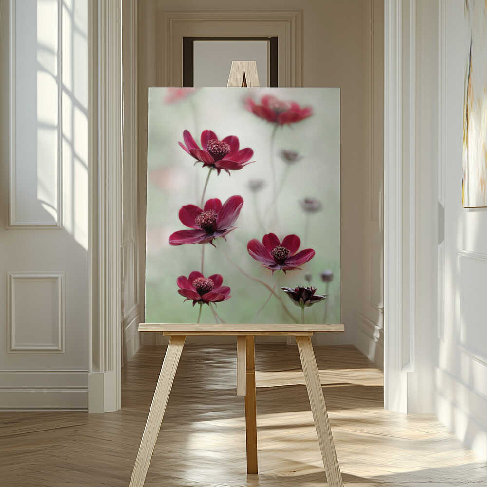 Cosmos sway Canvas Print Wall Art 1X48346 - ART FEVER - Art Fever