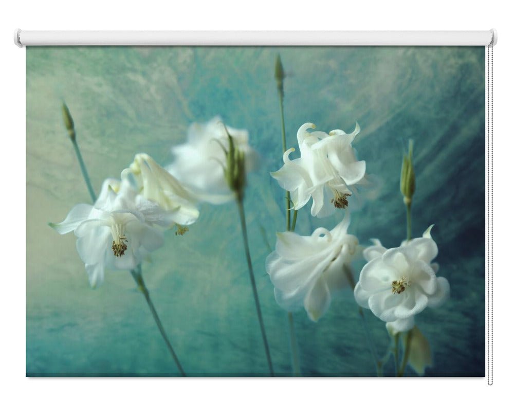 Crowns of Thorns Teal Still Life Printed Picture Photo Roller Blind - 1X1871693 - Art Fever - Art Fever