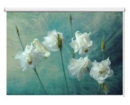 Crowns of Thorns Teal Still Life Printed Picture Photo Roller Blind - 1X1871693 - Art Fever - Art Fever