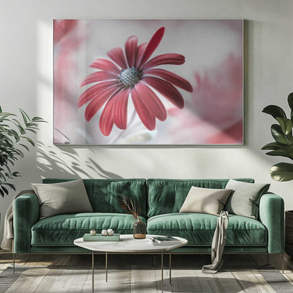 Daisy Floral Canvas Print Wall Art 1X1588105 - ART FEVER - Art Fever