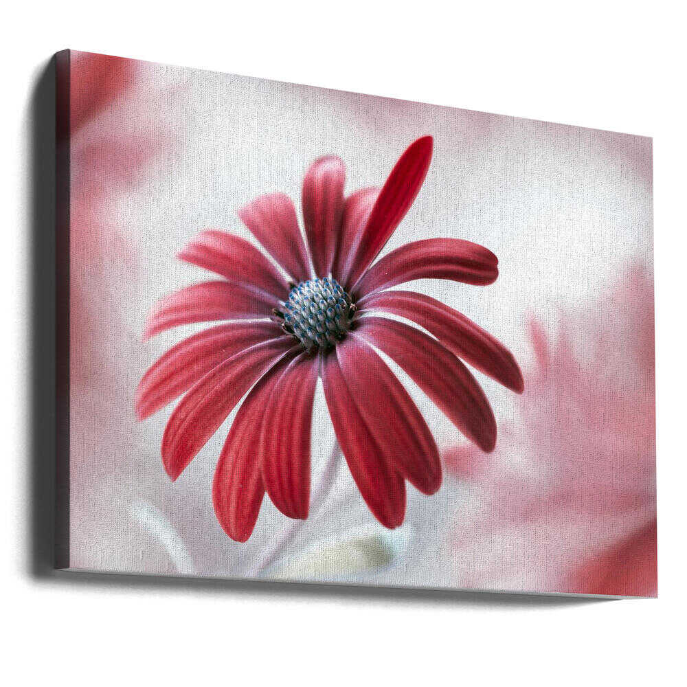 Daisy Floral Canvas Print Wall Art 1X1588105 - ART FEVER - Art Fever