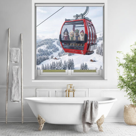 Dogs On a Cable Car Printed Picture Photo Roller Blind - 1X3437193 - Art Fever - Art Fever