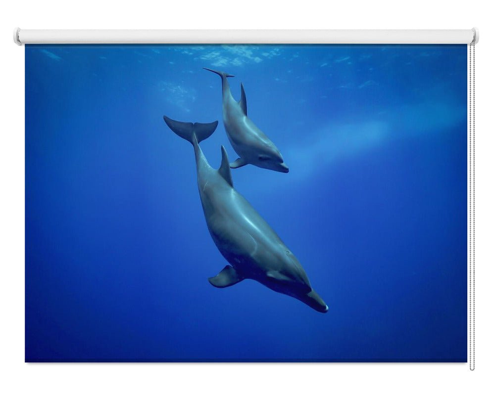 Dolphins in The Deep Printed Picture Photo Roller Blind - 1X1749599 - Art Fever - Art Fever