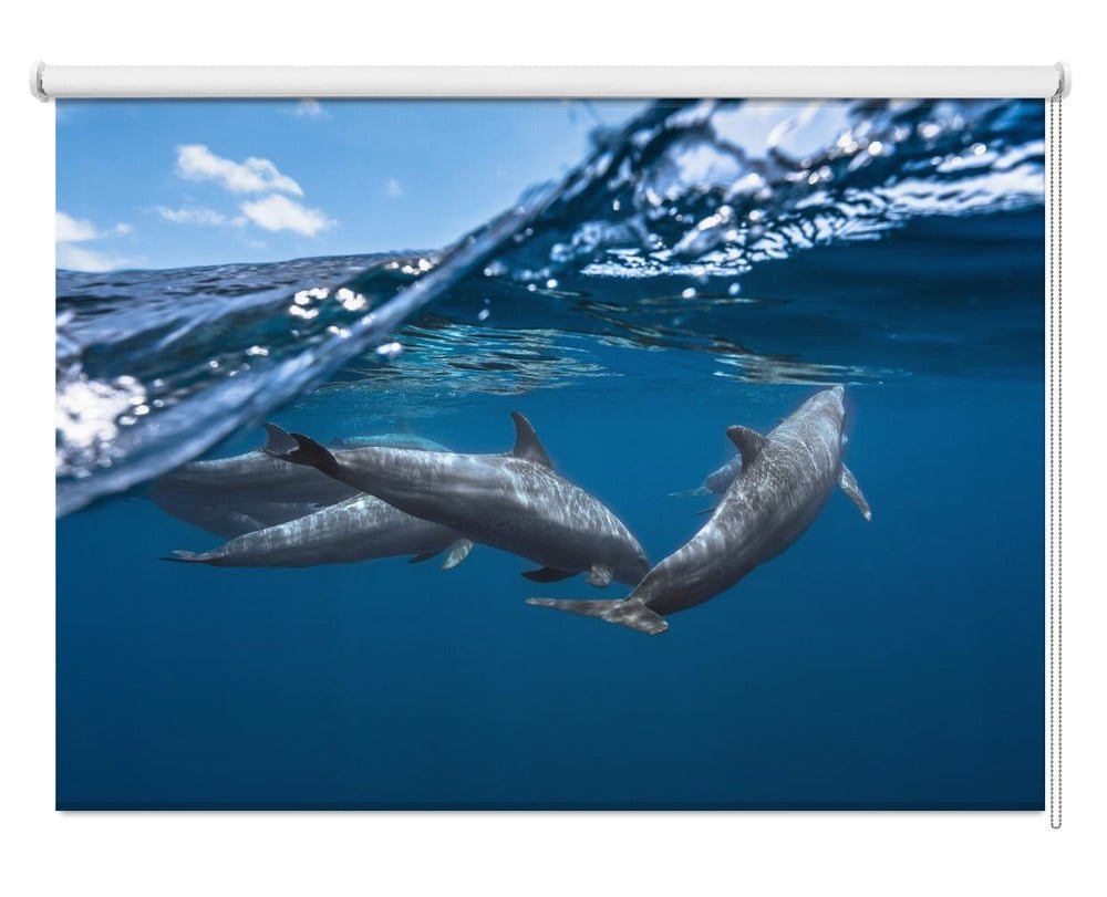 Dolphins Printed Picture Photo Roller Blind - 1X1208536 - Art Fever - Art Fever