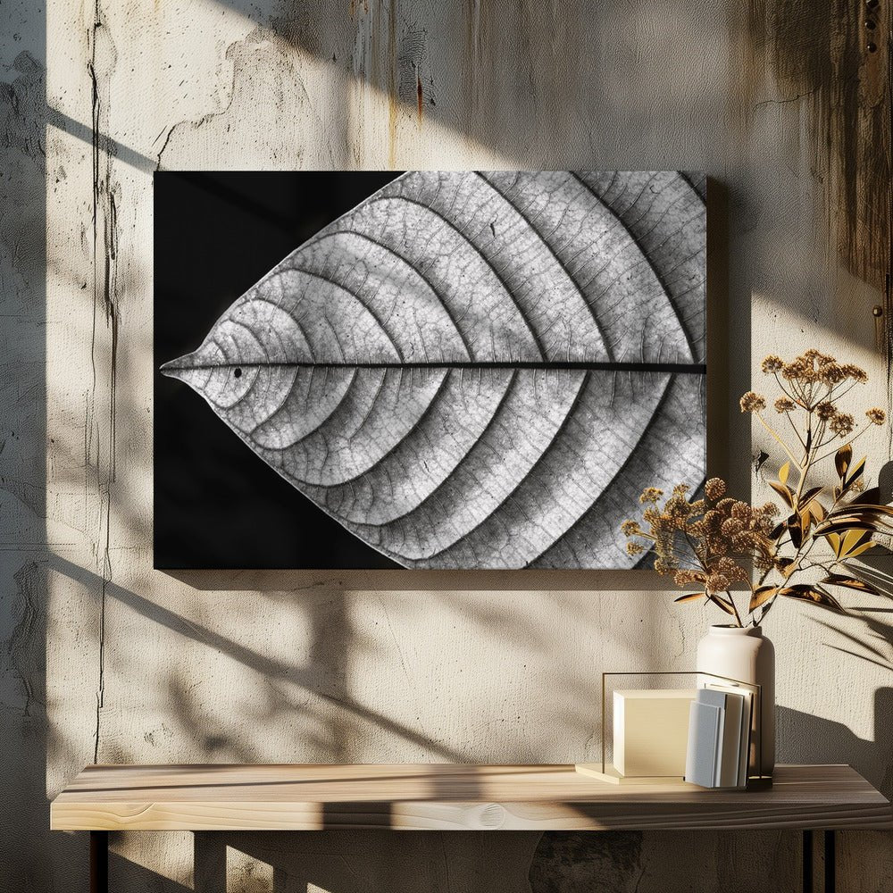Dry Fish - Leaf Close Up Black & White Photography Canvas Print Picture Wall Art - 1X799781 - Art Fever - Art Fever