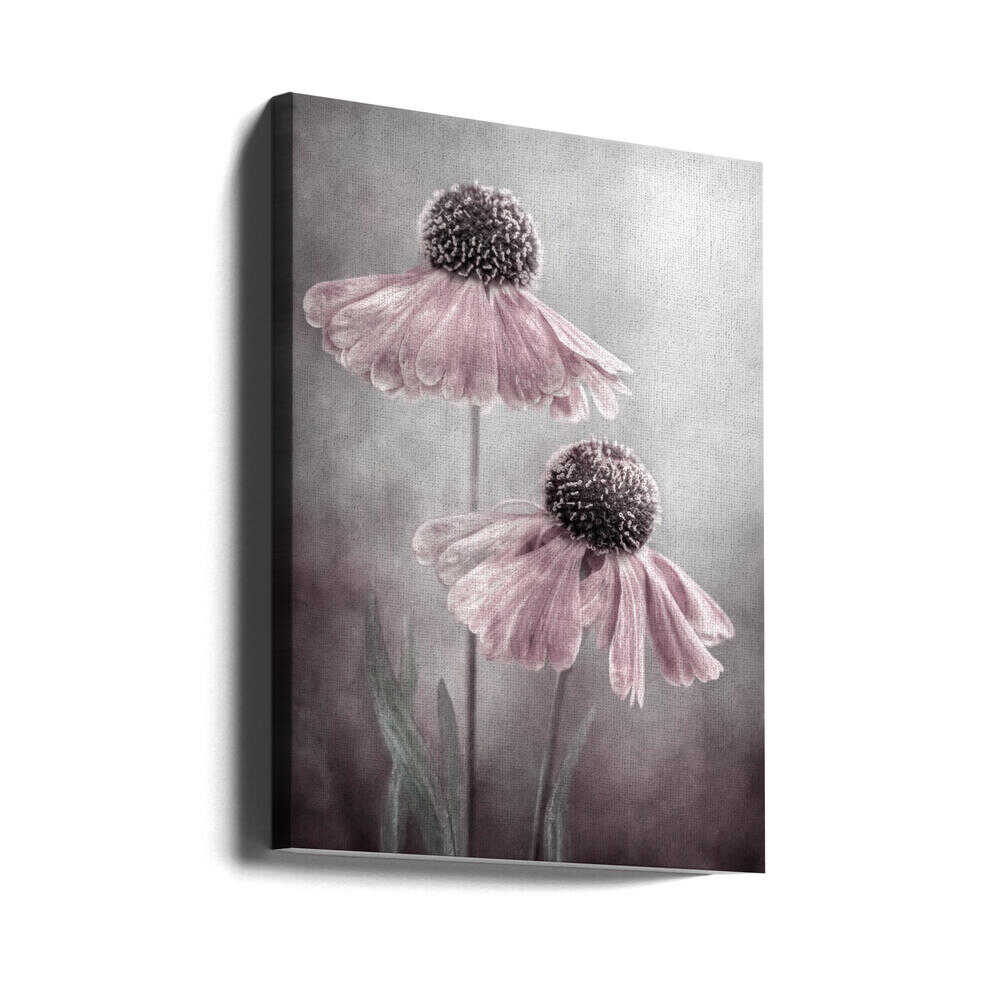 Duet Helenium Floral Canvas Print Wall Art 1X1532222 - ART FEVER - Art Fever