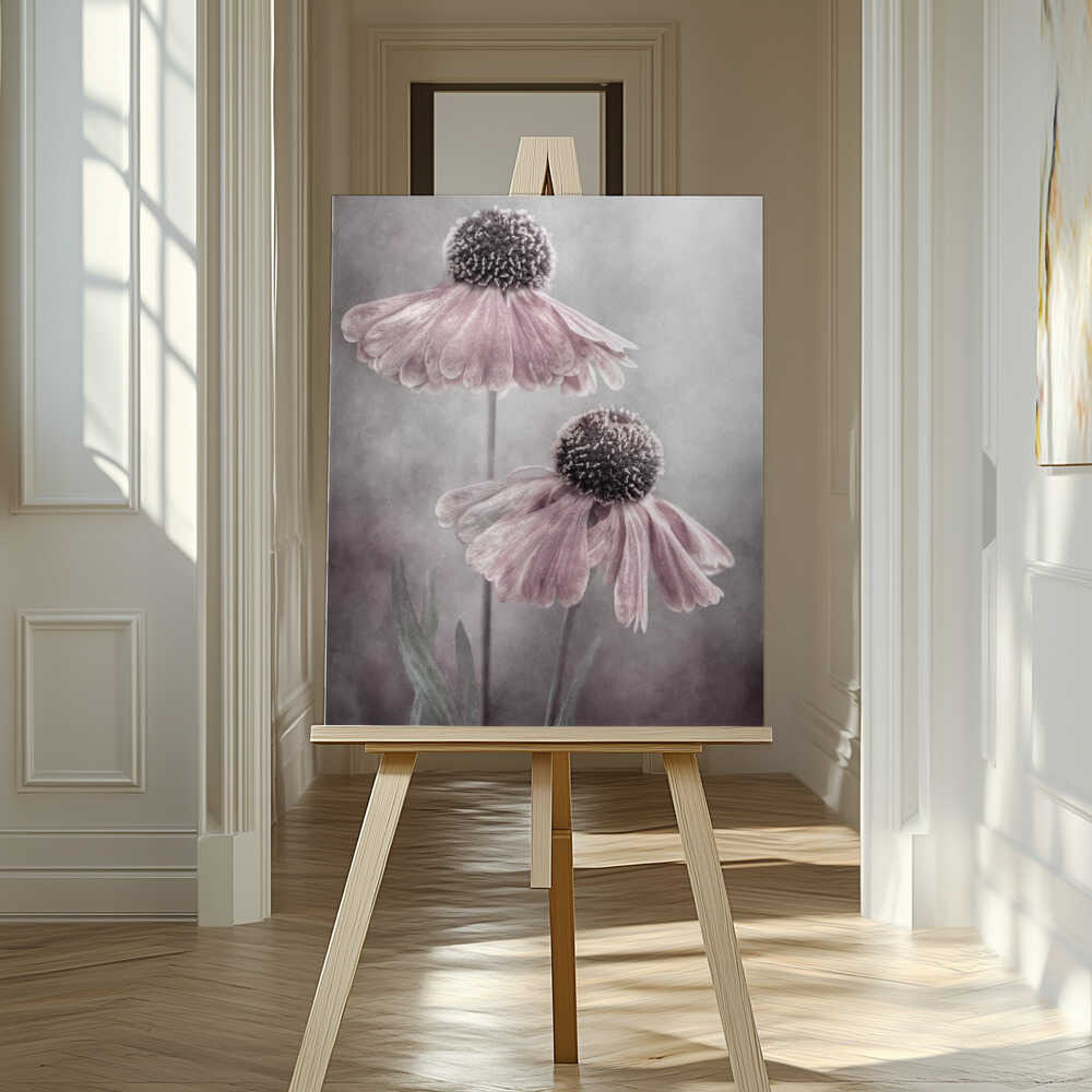 Duet Helenium Floral Canvas Print Wall Art 1X1532222 - ART FEVER - Art Fever
