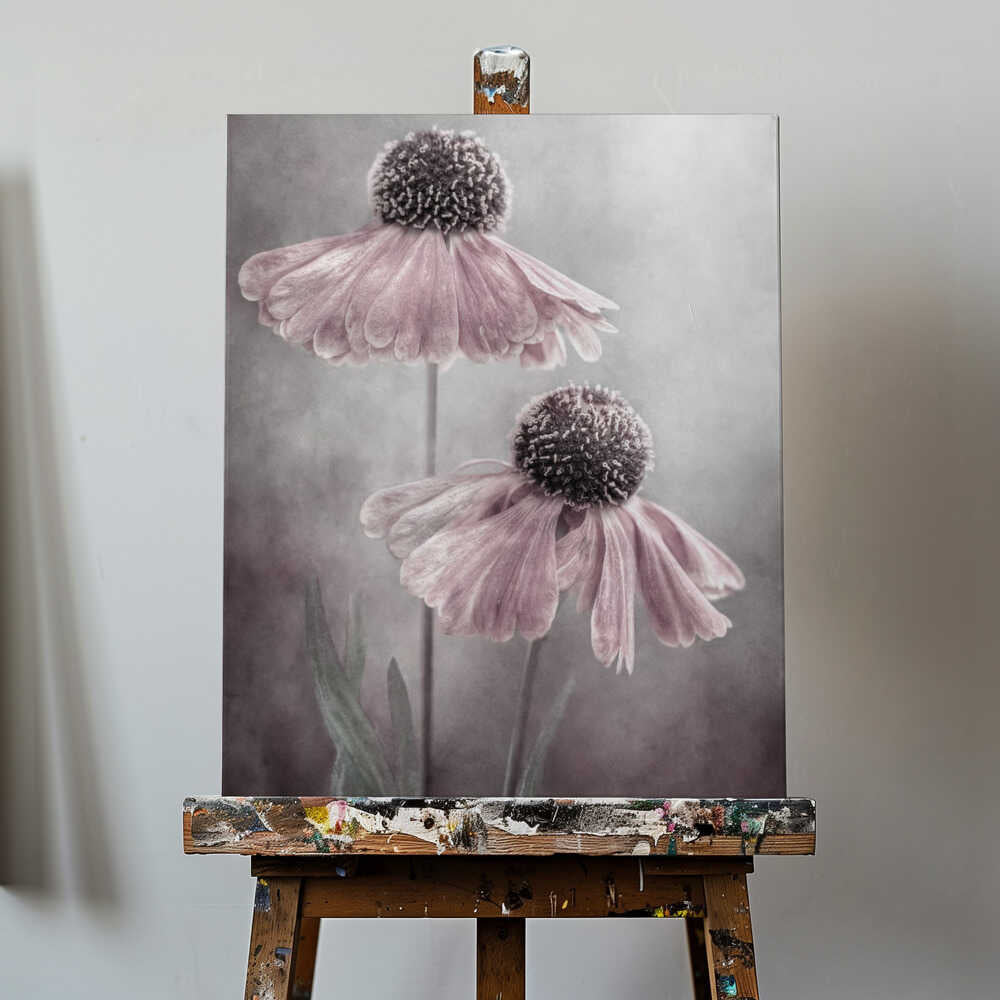 Duet Helenium Floral Canvas Print Wall Art 1X1532222 - ART FEVER - Art Fever