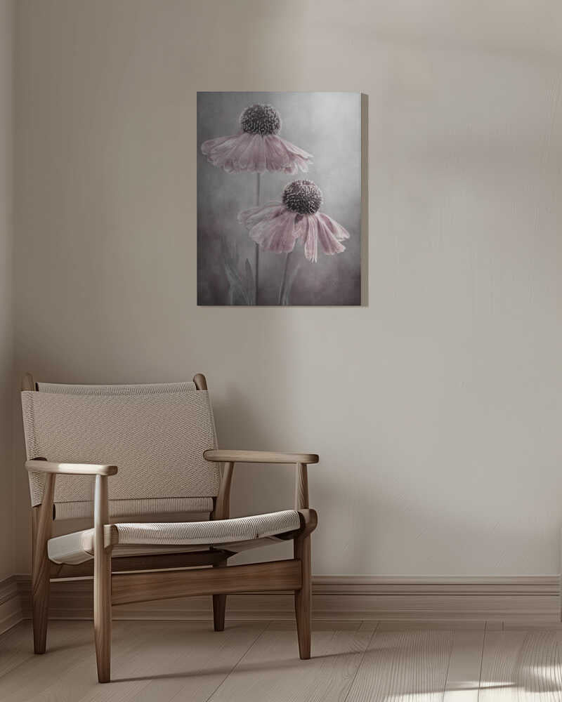 Duet Helenium Floral Canvas Print Wall Art 1X1532222 - ART FEVER - Art Fever
