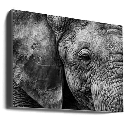 Elephant skin Black & White Animal Photography Canvas Print Picture Wall Art - 1X2158615 - Art Fever - Art Fever