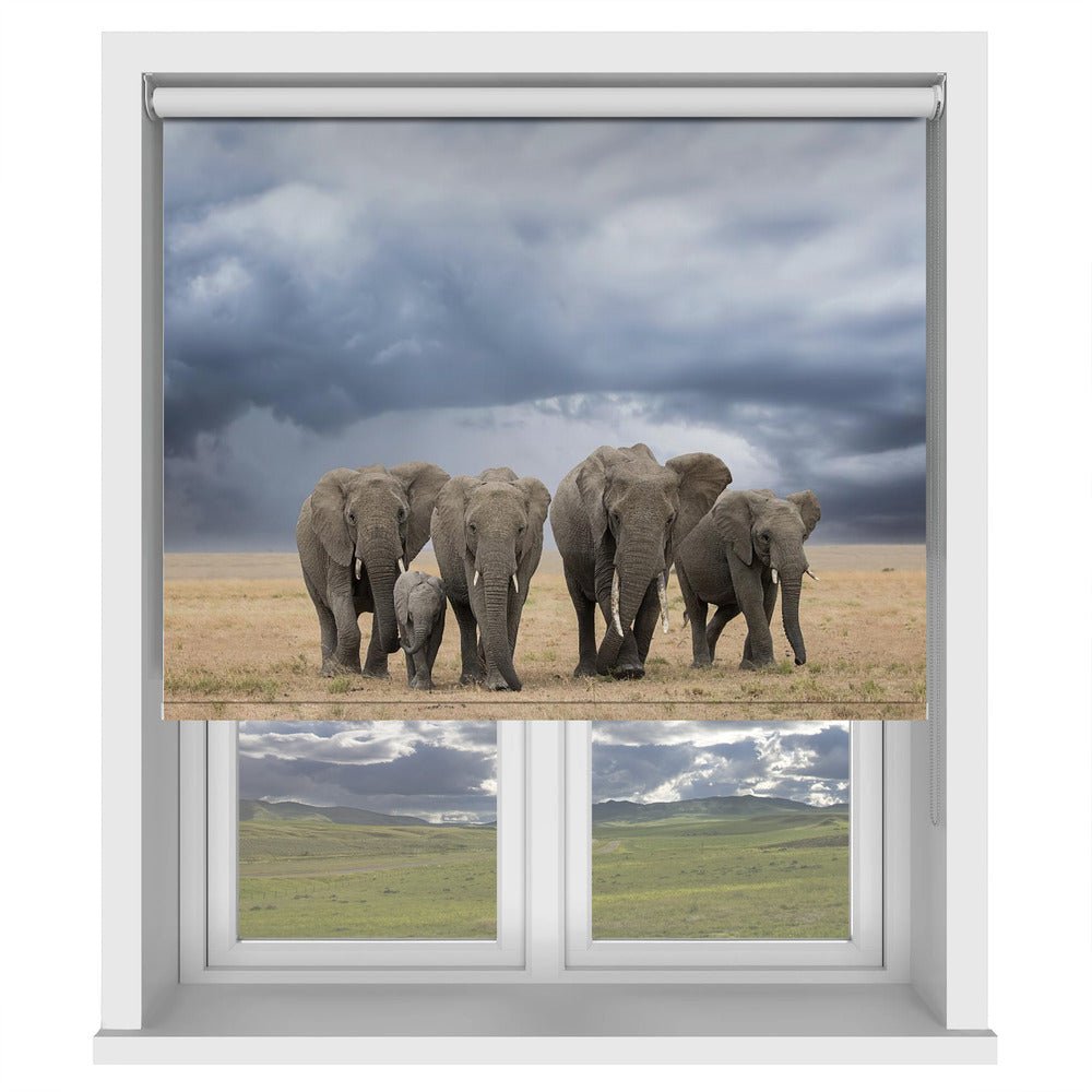 Elephant Walk Printed Picture Photo Roller Blind - 1X1785094 - Art Fever - Art Fever