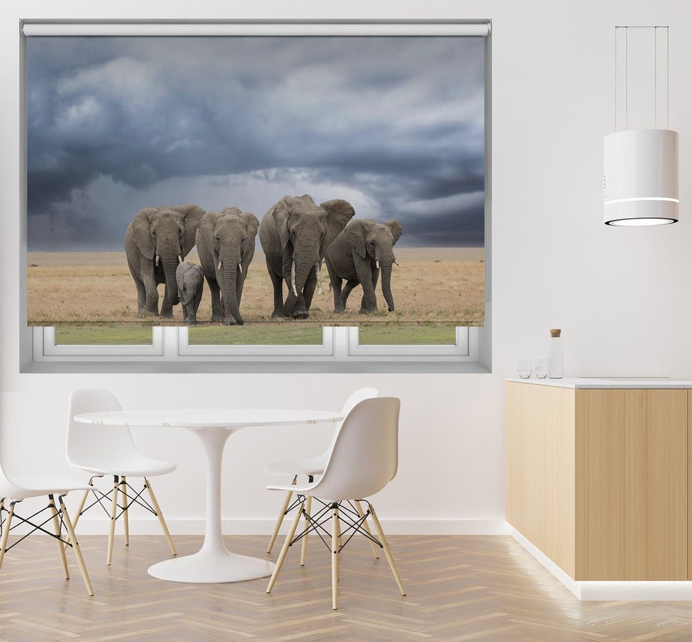Elephant Walk Printed Picture Photo Roller Blind - 1X1785094 - Art Fever - Art Fever