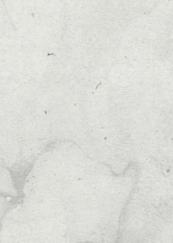 Ethereal Tranquillity Canvas Print Wall Art 1X3095155 - ART FEVER - Art Fever