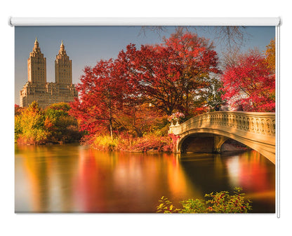 Fall in Central Park New York Printed Picture Photo Roller Blind - 1X1229507 - Pictufy - Art Fever