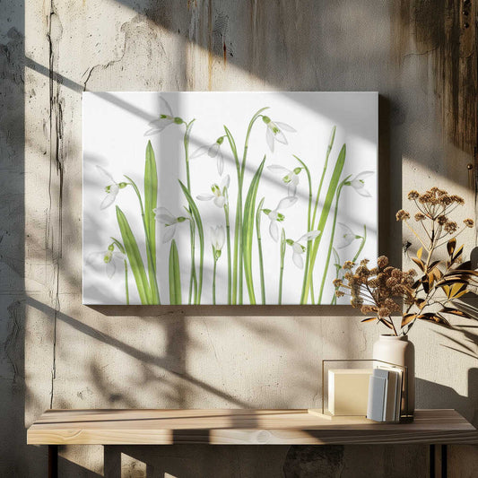 First Snowdrops Canvas Print Wall Art 1X1288497 - ART FEVER - Art Fever