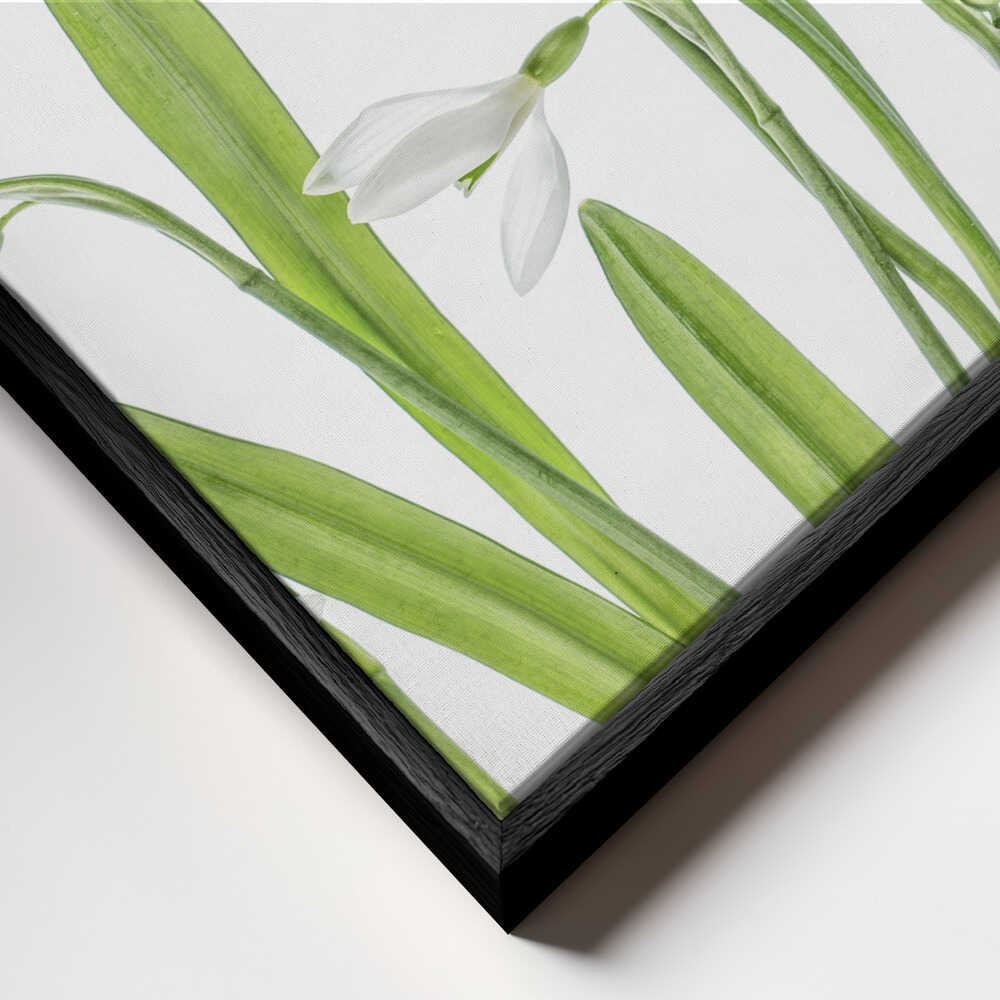 First Snowdrops Canvas Print Wall Art 1X1288497 - ART FEVER - Art Fever