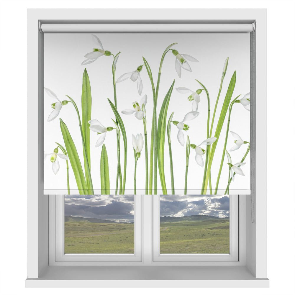 First Snowdrops Printed Picture Photo Roller Blind - 1X1288497 - Art Fever - Art Fever