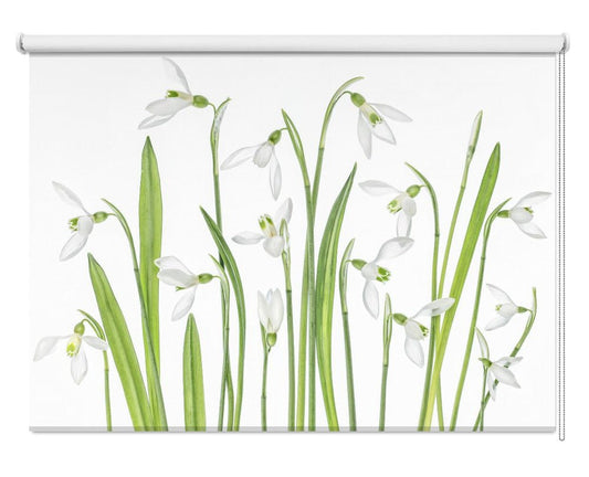 First Snowdrops Printed Picture Photo Roller Blind - 1X1288497 - Art Fever - Art Fever