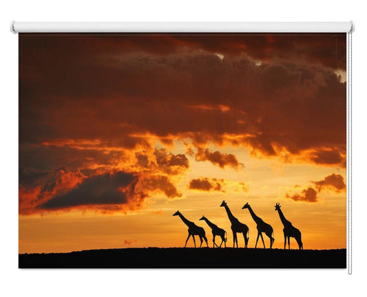 Five Giraffes Printed Picture Photo Roller Blind - 1X780012 - Pictufy - Art Fever