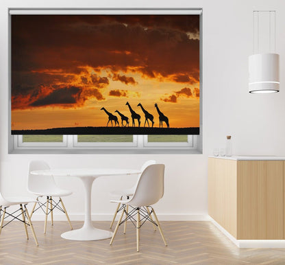 Five Giraffes Printed Picture Photo Roller Blind - 1X780012 - Pictufy - Art Fever