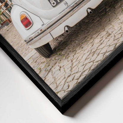White Beetle on Cobblestone Canvas Print Wall Art 1X2711032