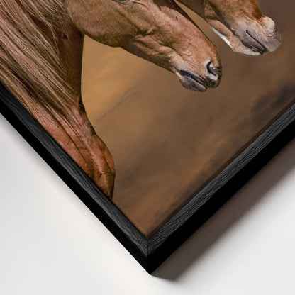 Gentle Horse Connection Canvas Print Wall Art 1X3354332
