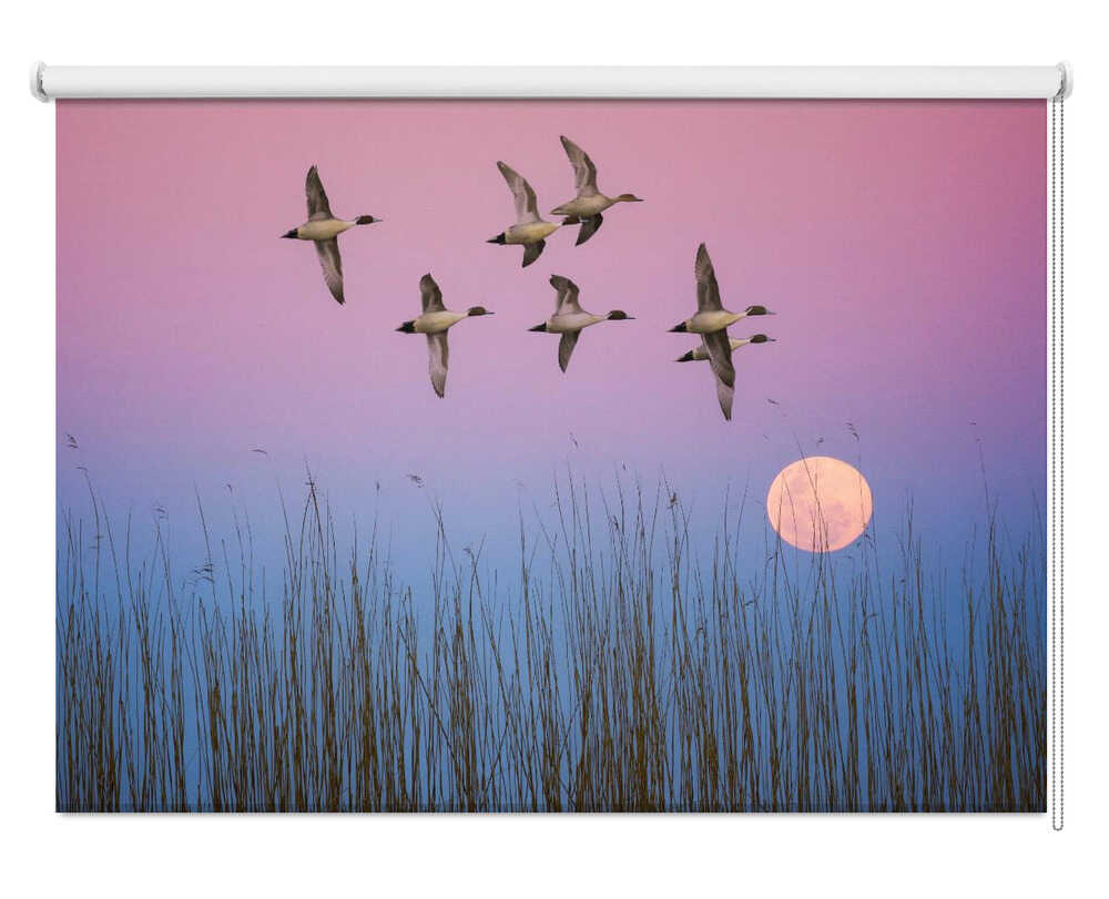 Flying Ducks Moonrise Sky Printed Roller Blind - 1X3012245 - Art Fever - Art Fever