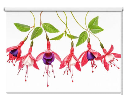 Fuchsia Floral Art Printed Picture Photo Roller Blind - 1X1756942 - Art Fever - Art Fever