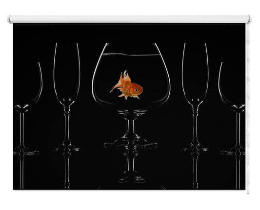 Glass fish Printed Picture Photo Roller Blind - 1X1214012 - Art Fever - Art Fever