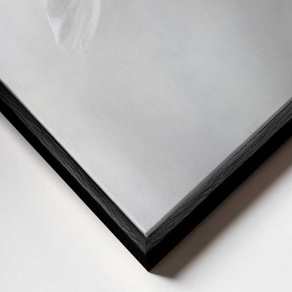 Heavenly Cosmos Canvas Print Wall Art 1X380627 - ART FEVER - Art Fever