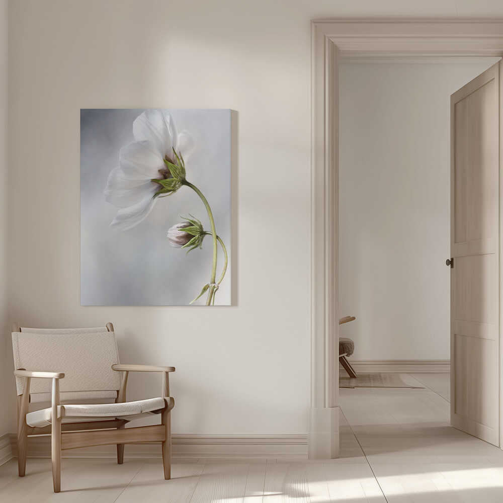 Heavenly Cosmos Canvas Print Wall Art 1X380627 - ART FEVER - Art Fever