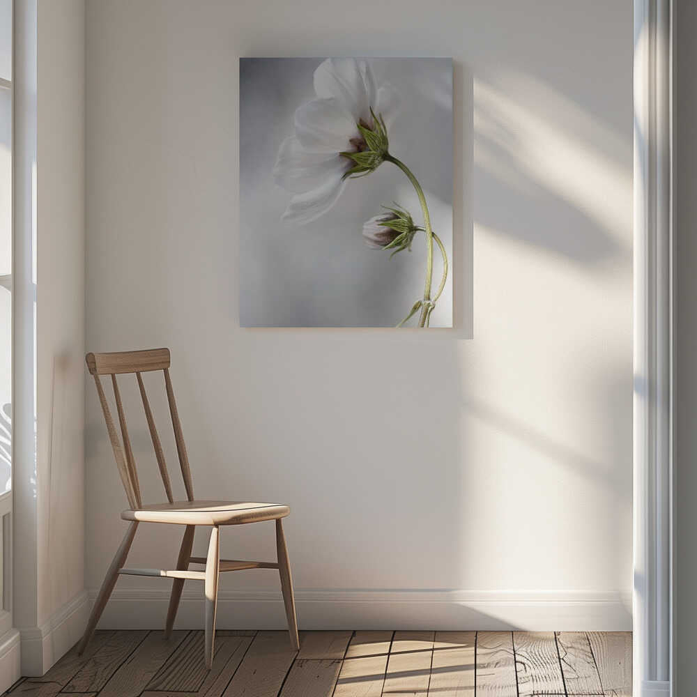 Heavenly Cosmos Canvas Print Wall Art 1X380627 - ART FEVER - Art Fever