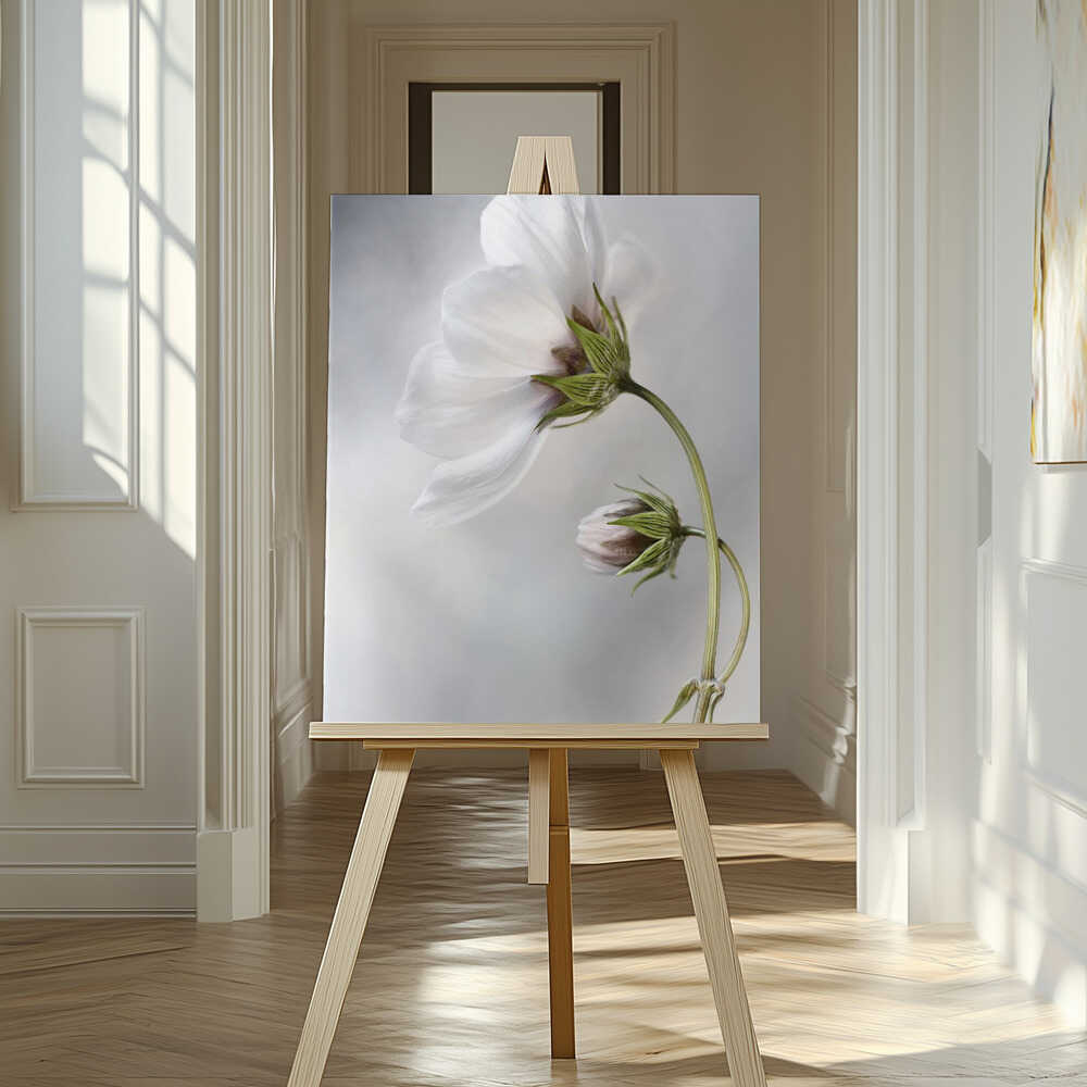 Heavenly Cosmos Canvas Print Wall Art 1X380627 - ART FEVER - Art Fever
