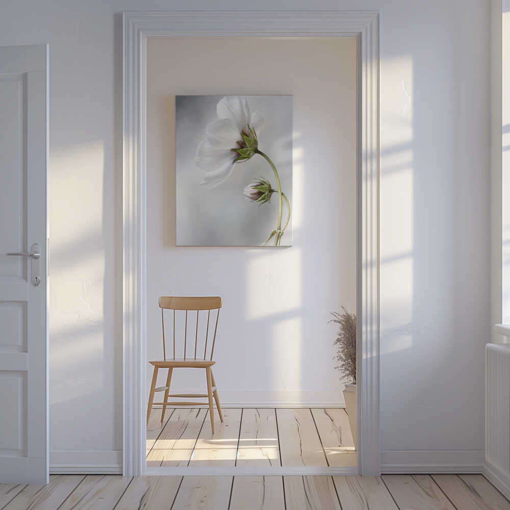 Heavenly Cosmos Canvas Print Wall Art 1X380627 - ART FEVER - Art Fever