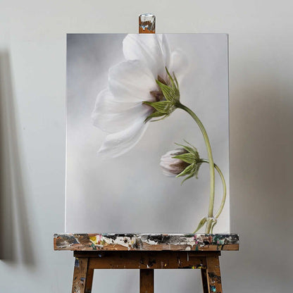 Heavenly Cosmos Canvas Print Wall Art 1X380627 - ART FEVER - Art Fever