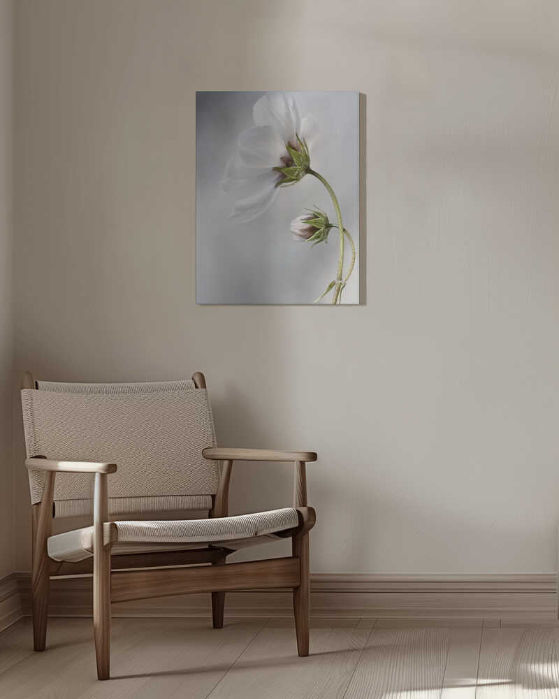 Heavenly Cosmos Canvas Print Wall Art 1X380627 - ART FEVER - Art Fever