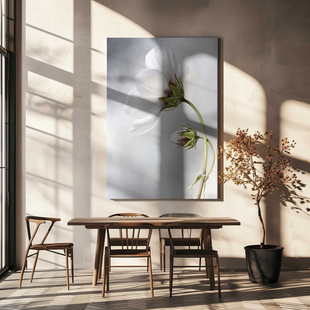 Heavenly Cosmos Canvas Print Wall Art 1X380627 - ART FEVER - Art Fever