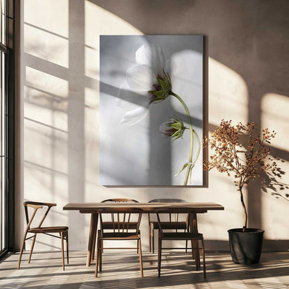 Heavenly Cosmos Canvas Print Wall Art 1X380627 - ART FEVER - Art Fever