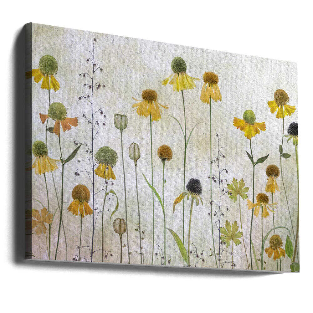 Helenium Floral Art Canvas Print Wall Art 1X1318955 - ART FEVER - Art Fever