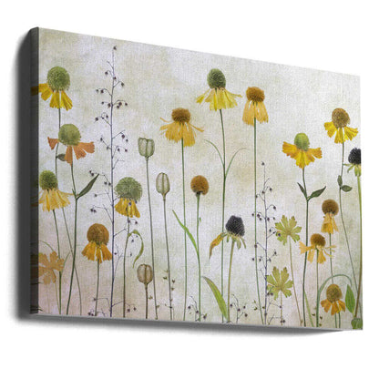 Helenium Floral Art Canvas Print Wall Art 1X1318955 - ART FEVER - Art Fever