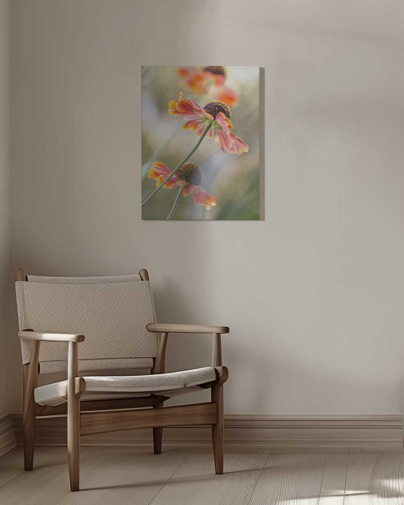 Helenium Floral Art Canvas Print Wall Art 1X1561168 - ART FEVER - Art Fever
