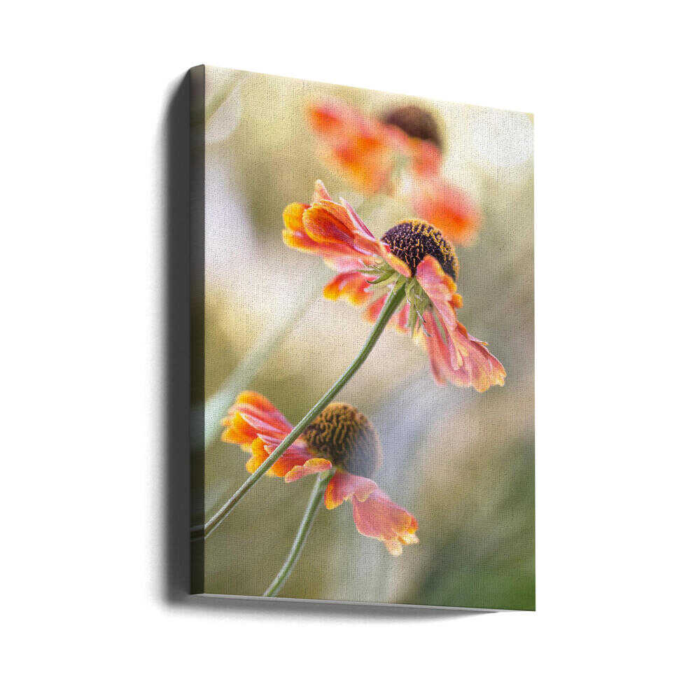 Helenium Floral Art Canvas Print Wall Art 1X1561168 - ART FEVER - Art Fever