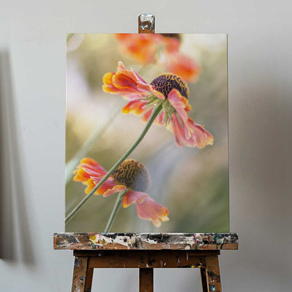 Helenium Floral Art Canvas Print Wall Art 1X1561168 - ART FEVER - Art Fever