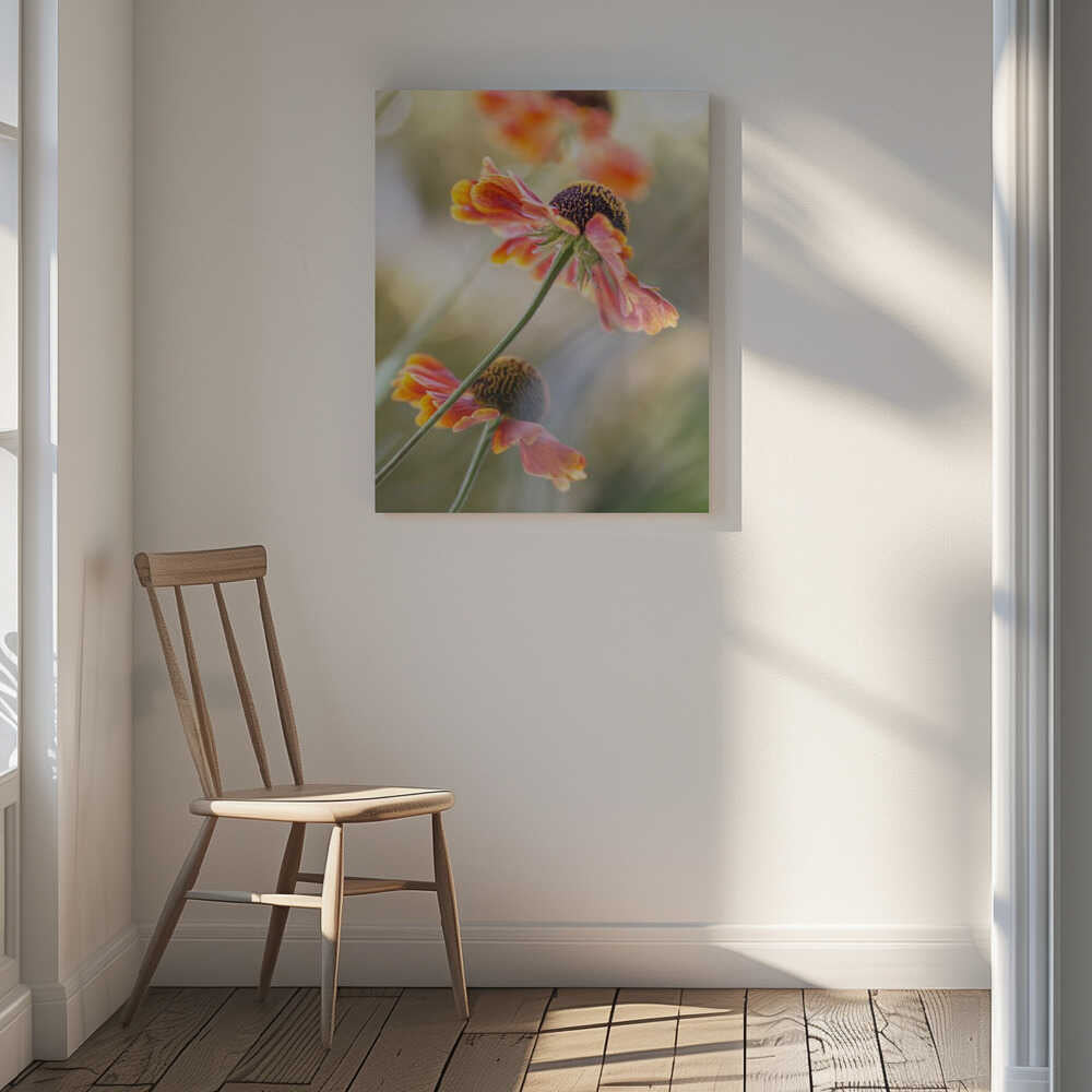 Helenium Floral Art Canvas Print Wall Art 1X1561168 - ART FEVER - Art Fever