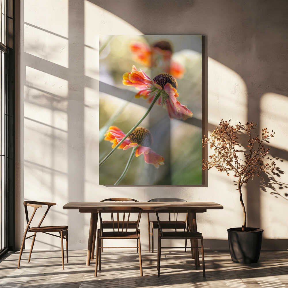 Helenium Floral Art Canvas Print Wall Art 1X1561168 - ART FEVER - Art Fever