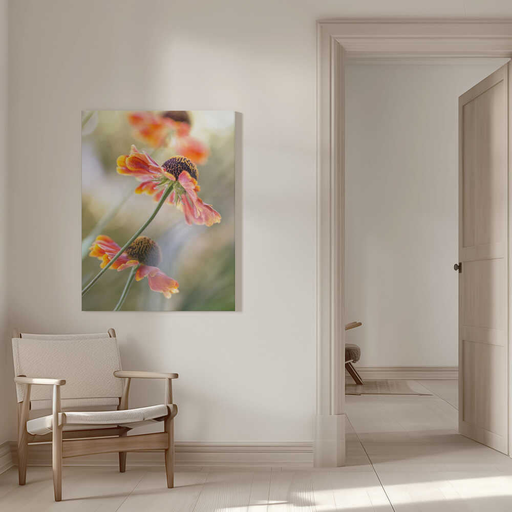 Helenium Floral Art Canvas Print Wall Art 1X1561168 - ART FEVER - Art Fever