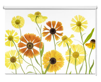 Helenium Printed Picture Photo Roller Blind - 1X1184430 - Art Fever - Art Fever