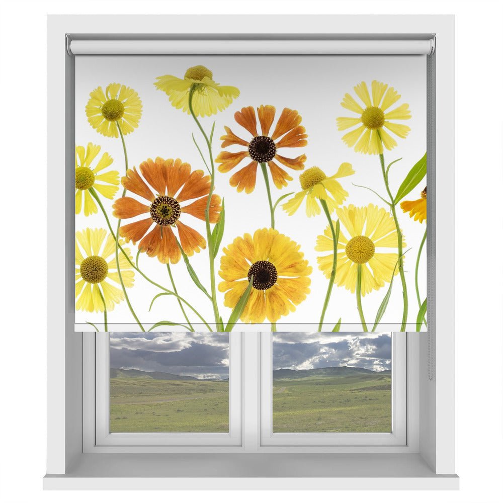 Helenium Printed Picture Photo Roller Blind - 1X1184430 - Art Fever - Art Fever