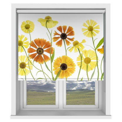 Helenium Printed Picture Photo Roller Blind - 1X1184430 - Art Fever - Art Fever